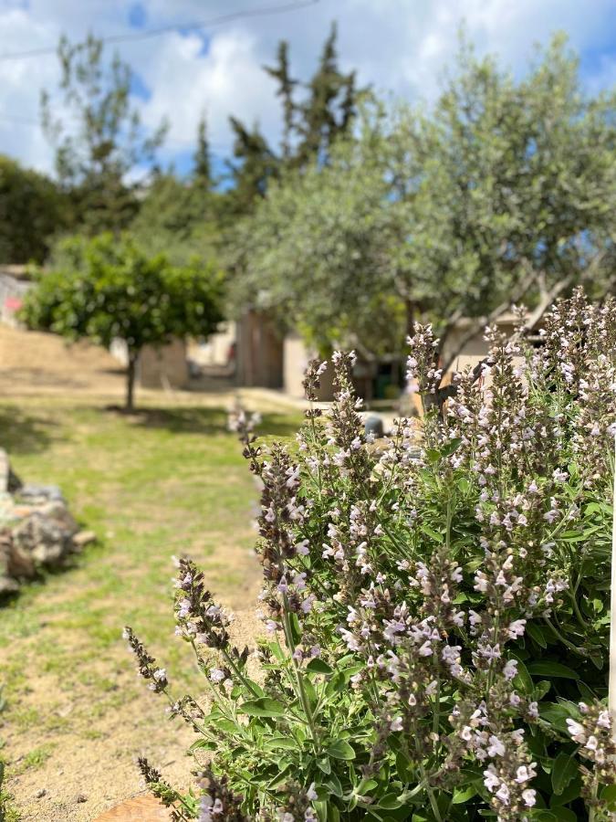Holiday home La Heraklion (Crete)